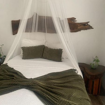 Casa Borush By Ecoplaneta Hotel Cancun Bagian luar foto