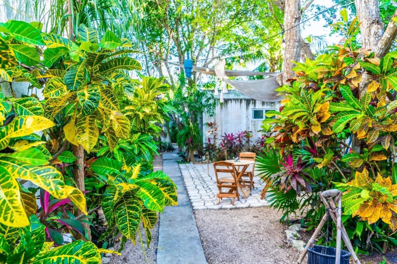Casa Borush By Ecoplaneta Hotel Cancun Bagian luar foto